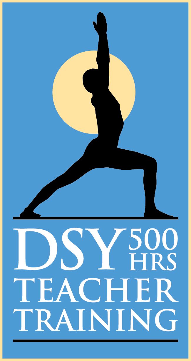 DSY-TTlogo16